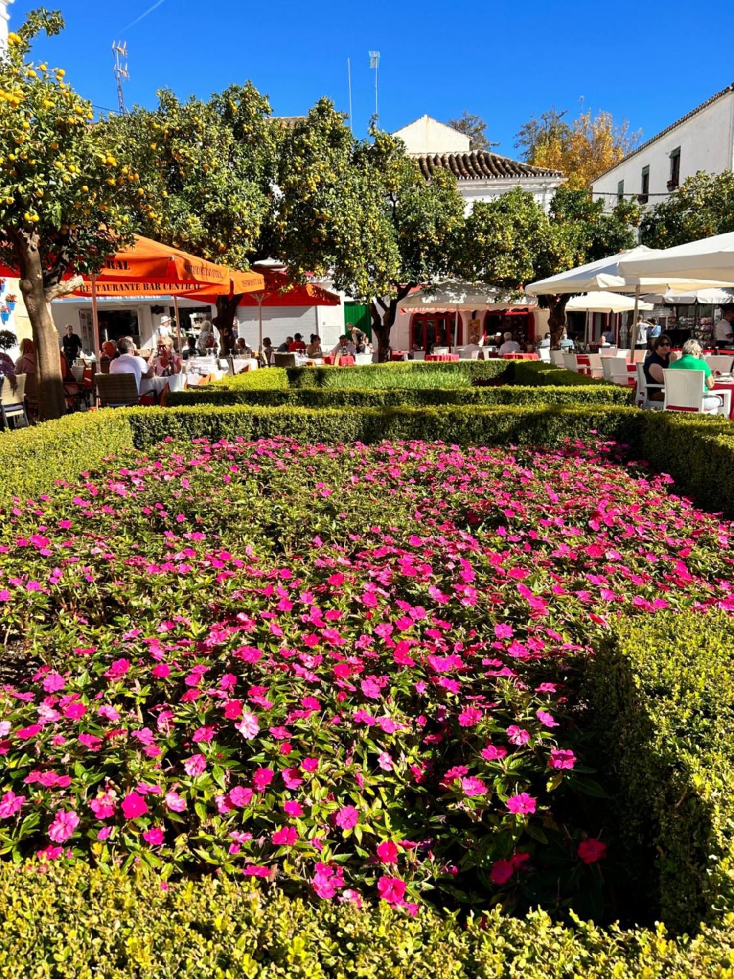 Mare Apartments Marbella Eksteriør billede
